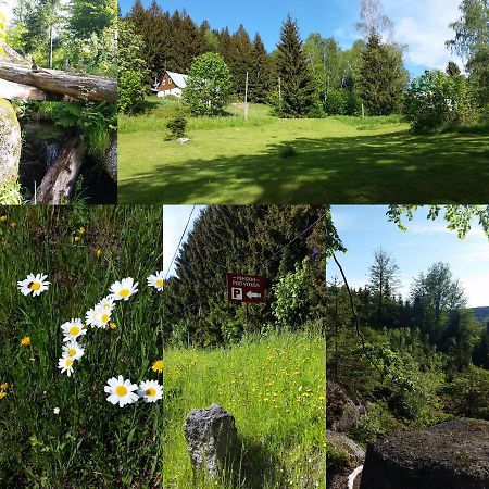 Pension pod vlekem Janov nad Nisou Bagian luar foto