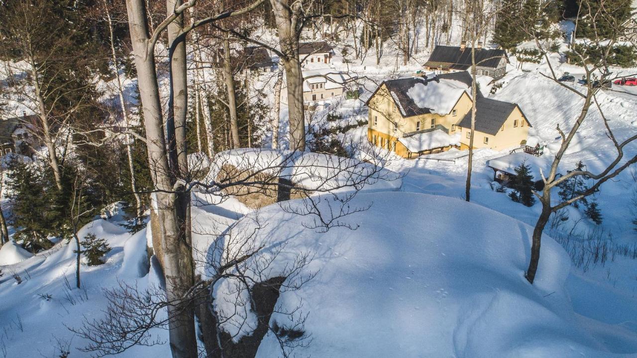 Pension pod vlekem Janov nad Nisou Bagian luar foto