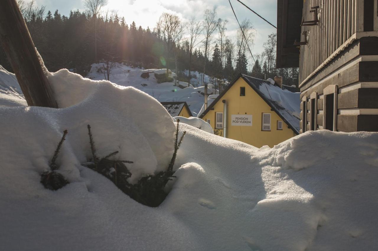 Pension pod vlekem Janov nad Nisou Bagian luar foto