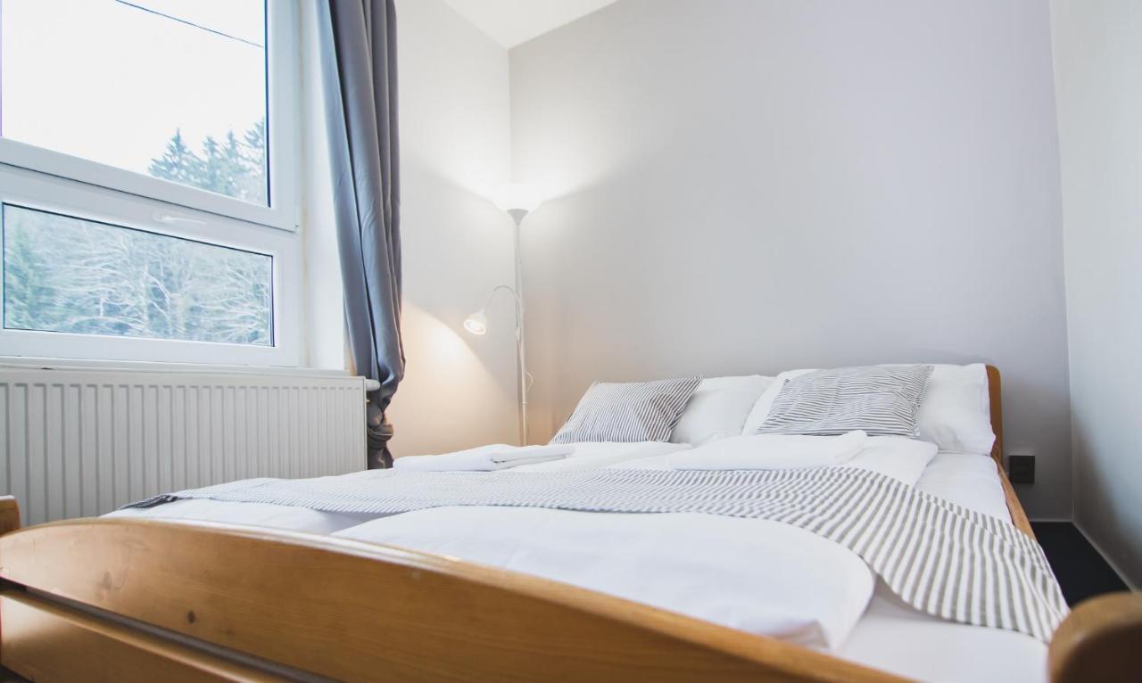 Pension pod vlekem Janov nad Nisou Bagian luar foto