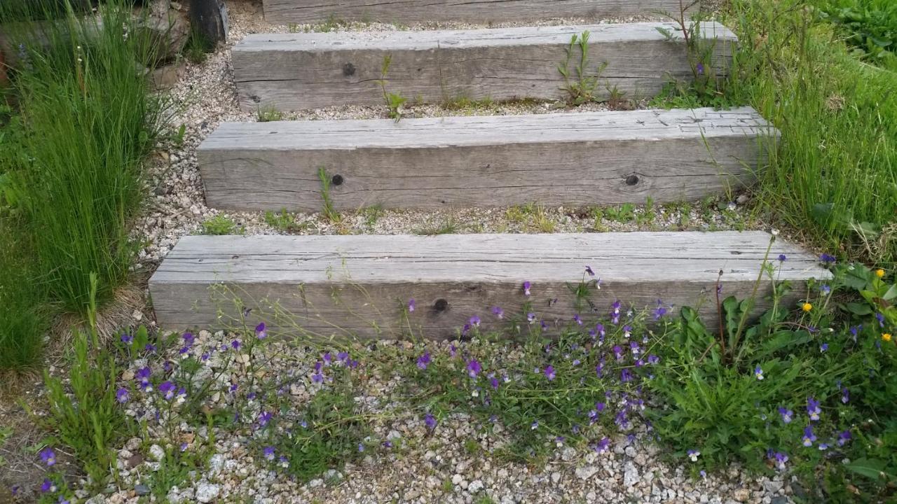 Pension pod vlekem Janov nad Nisou Bagian luar foto