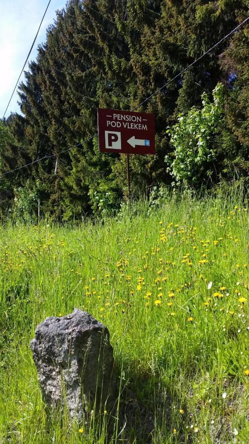 Pension pod vlekem Janov nad Nisou Bagian luar foto