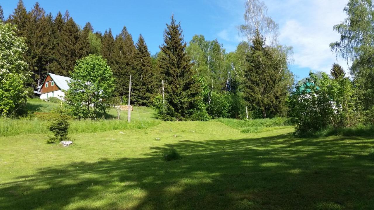 Pension pod vlekem Janov nad Nisou Bagian luar foto