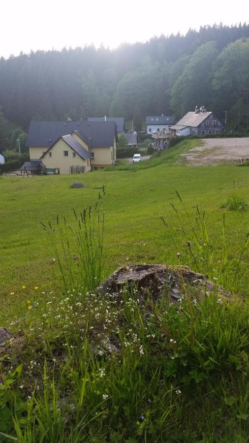 Pension pod vlekem Janov nad Nisou Bagian luar foto