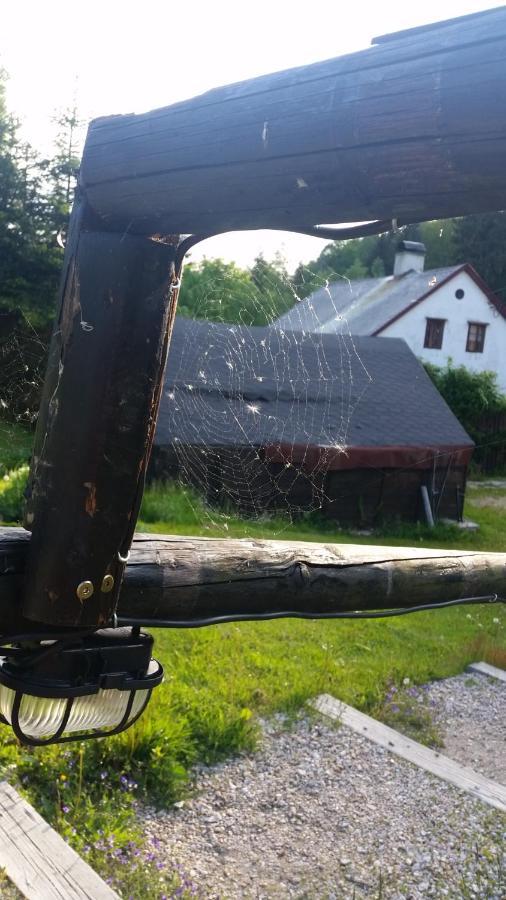Pension pod vlekem Janov nad Nisou Bagian luar foto