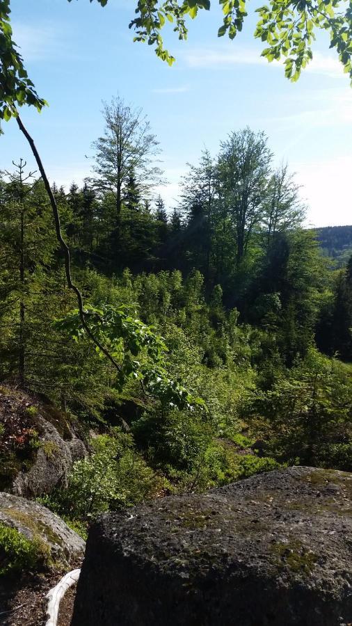 Pension pod vlekem Janov nad Nisou Bagian luar foto